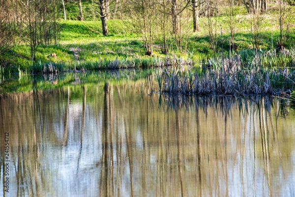 Fototapeta beautiful summer day at the lake, tree reflections in blue water