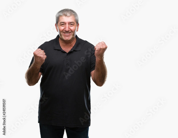 Fototapeta Handsome senior man over isolated background very happy and excited doing winner gesture with arms raised, smiling and screaming for success. Celebration concept.
