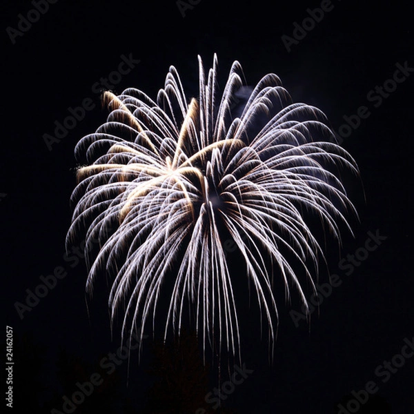 Fototapeta Fireworks