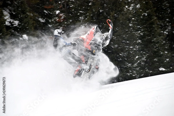 Obraz Snowmobile Jump