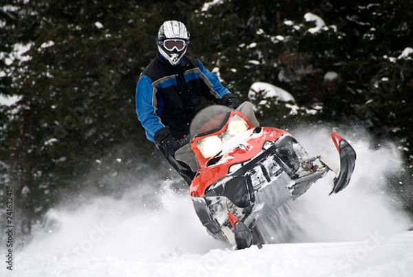 Obraz Man on Snowmobile