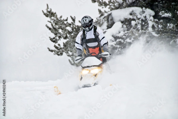 Obraz Snowmobile Dreams