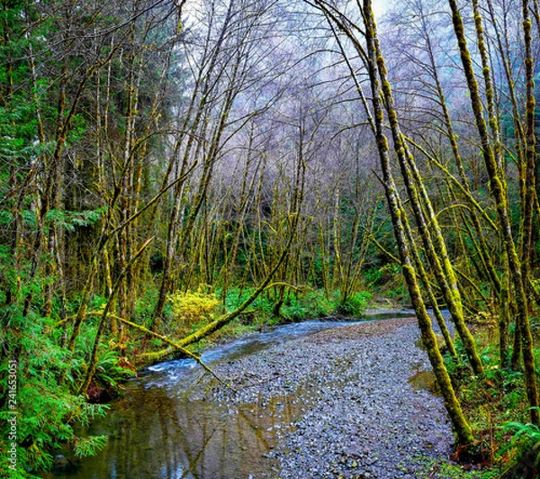 Obraz Lost Man Creek _Panorama2