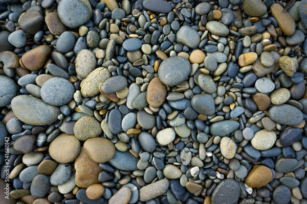 Obraz Pebbles at the Beach