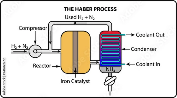 Obraz The Haber Process