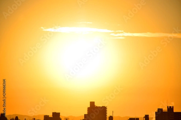 Fototapeta 初日の出