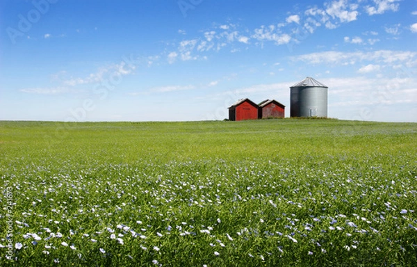 Obraz niebieskie pole