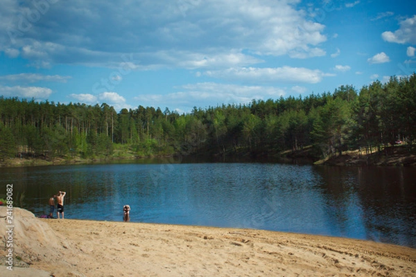 Obraz Summer day at a forest lake