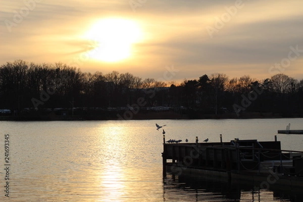 Fototapeta Bird at sunset