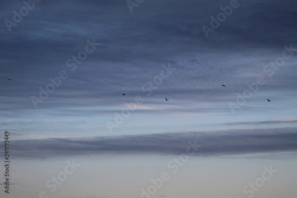 Fototapeta sunset sky 