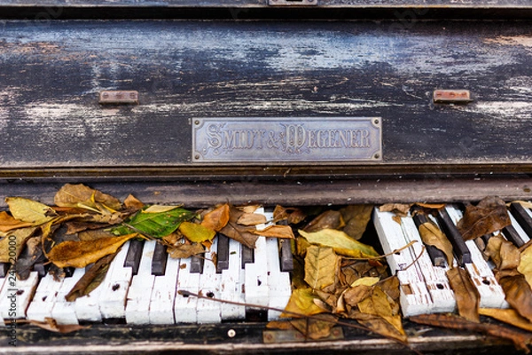 Fototapeta Keyboard musical instrument with broken keys. On the keys of the old piano is autumnal foliage. The concept of creative crisis, emptiness. Autumn has come. Broken piano.