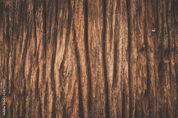 Obraz Wood texture background