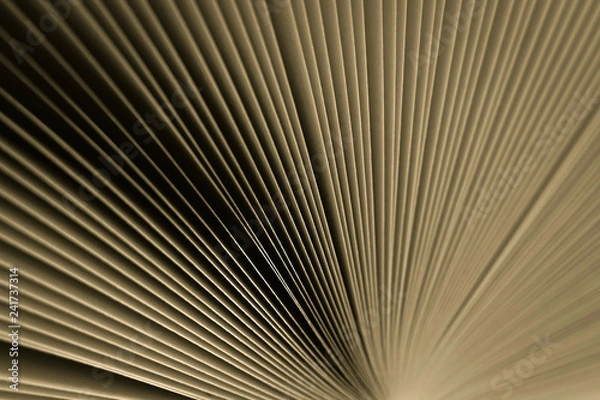 Fototapeta Macro view of book pages, as a background, vintage colored background.