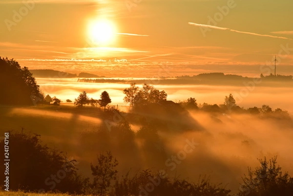 Fototapeta Abendsonne