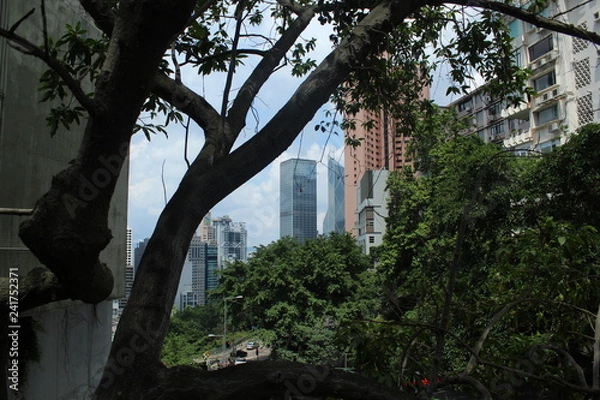 Obraz Concrete jungle 3