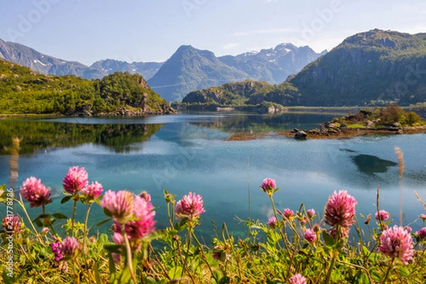 Fototapeta fjord and mountains in Lofoten in Norway