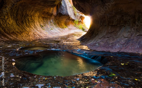 Obraz Small pool on the Subway hike, Zion National Park, Utah