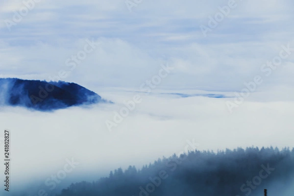 Fototapeta German's Project