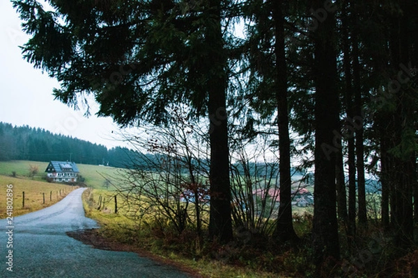 Obraz German's Project