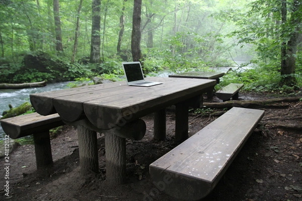 Obraz ベンチ, 公園, テーブル, 木製の, 自然, 木, 庭, 木, 森, 緑, いす, こしかけ, 家具, 草, 木, サマータイム, 古い, アウトドア, ピクニック, パス, 木, くだらない人, 植える, 休息