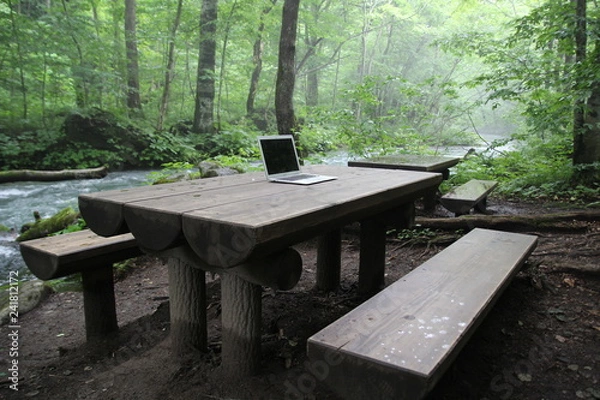 Obraz ベンチ, テーブル, 公園, 木製の, 庭, 自然, 木, いす, 木, 森, こしかけ, 緑, 家具, 草, 木, ピクニック, アウトドア, 古い, くだらない人, サマータイム, 休息, 中身のない, リラックス, パティオ