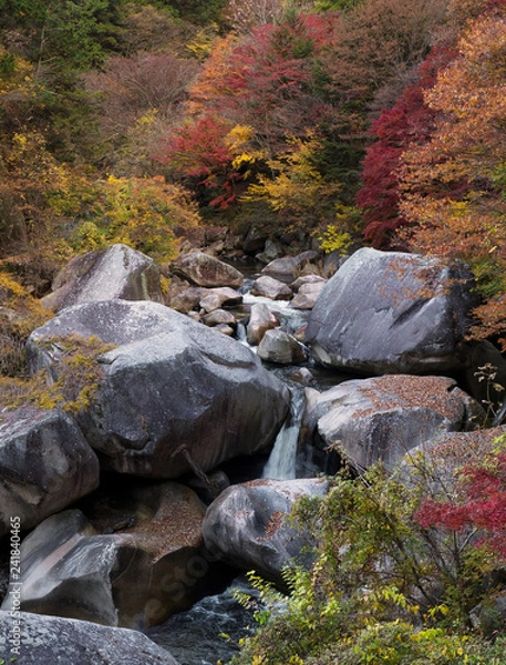 Fototapeta Fall River Rocks