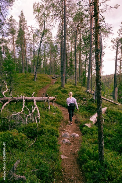 Obraz Blonde woman hiking in forest