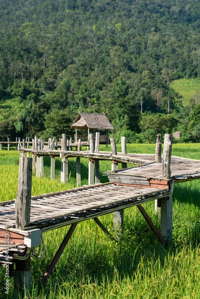 Fototapeta Bamboo weave walk way bridge over rice field.