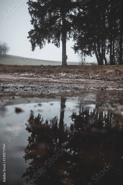 Fototapeta Reflektion 