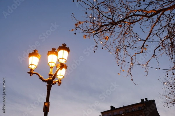 Fototapeta Beautiful evening 