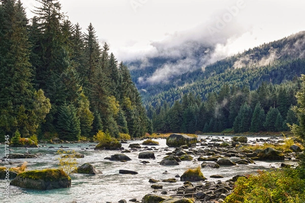 Fototapeta Haines, Chilkoot river in autumn, fall, Alaska, USA
