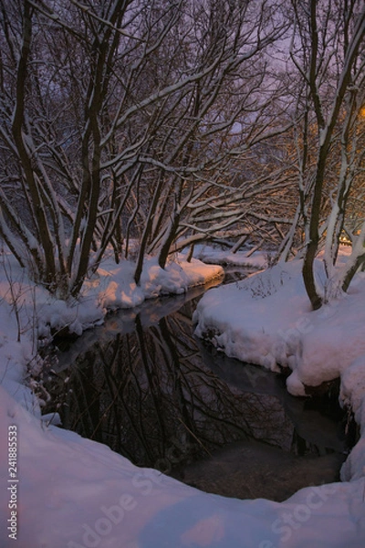 Obraz Winter river