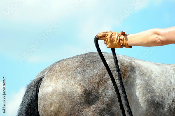 Obraz horsemanship training