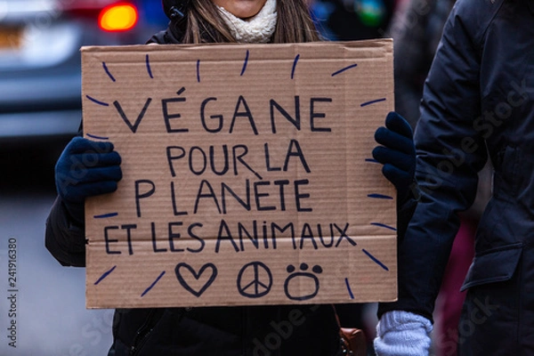 Fototapeta Activists marching for the environment. French sign seen in an ecological protest saying vegan for the planet and the animals