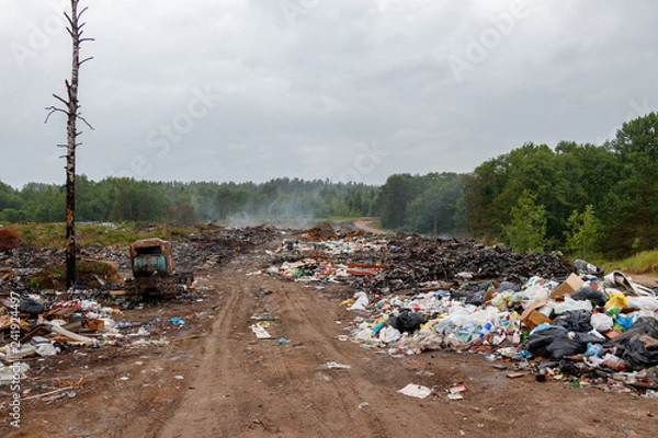 Fototapeta Road to landfill. A lot of plastic trash. Dead tree Broken tracked tractor bulldozer. There is smoke from burning garbage.