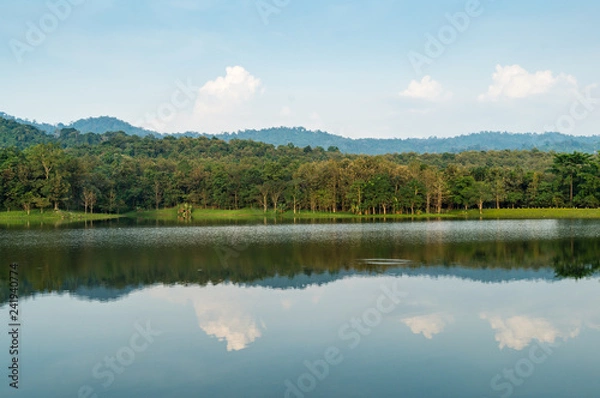 Fototapeta 7 kot Lake side#4