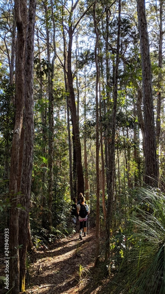 Fototapeta Young hikers explore the wilderness