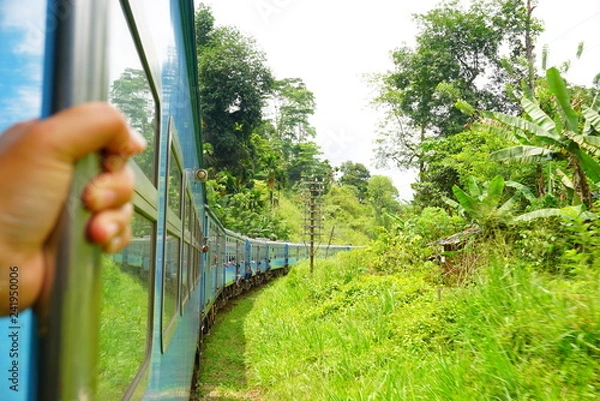 Obraz スリランカの紅茶列車