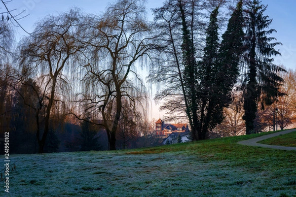 Obraz Schwarzwaldtraum