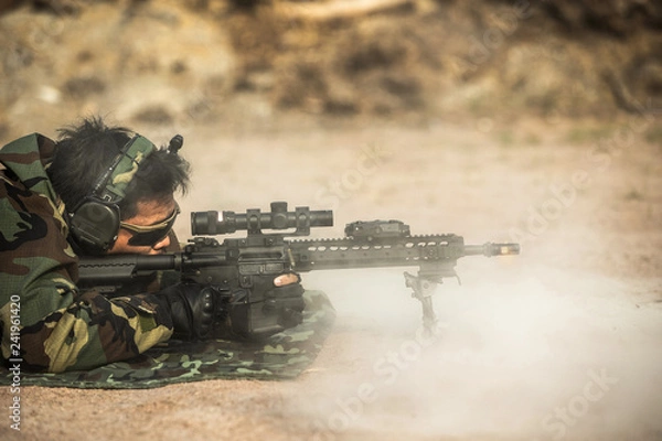 Fototapeta karabin strzelecki