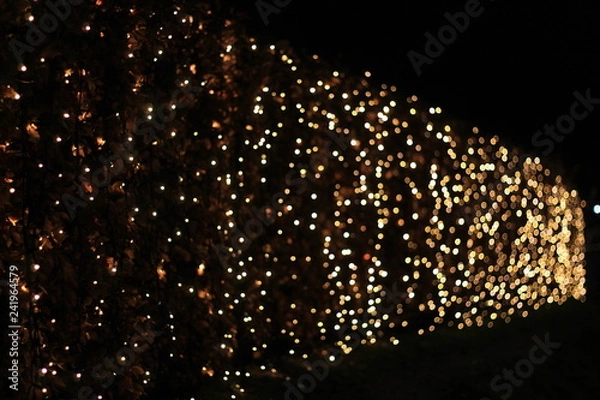 Fototapeta Night lights 