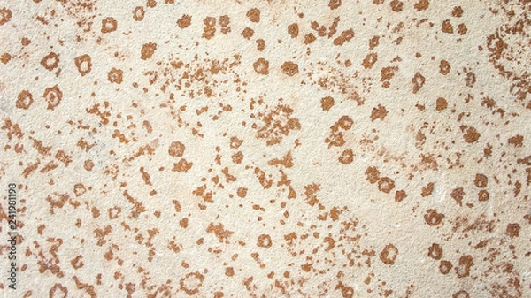 Obraz Leopard Dots Wall Background Pattern