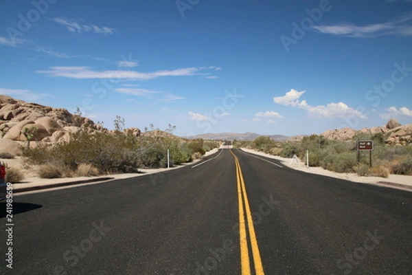 Fototapeta Joshua Tree National Park USA