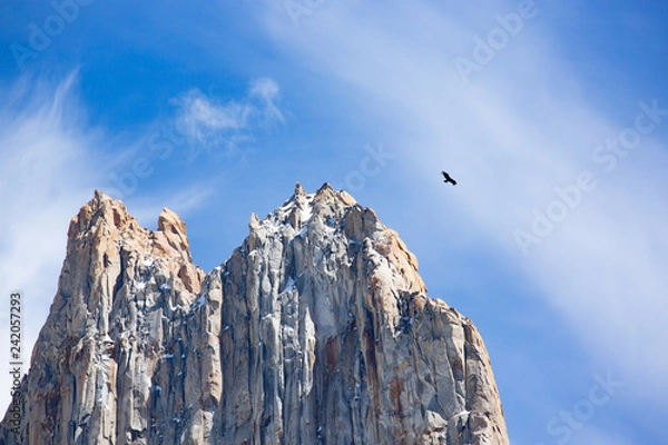 Obraz Soaring over the towers