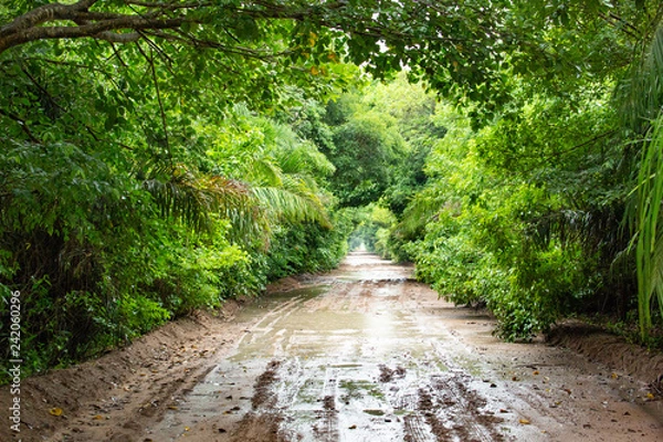 Obraz The road less traveled