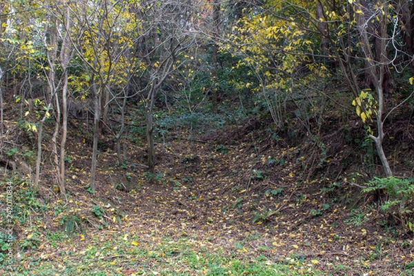 Obraz とある場所