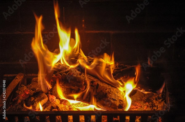 Obraz Fire in a fireplace grate