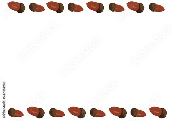 Obraz ドングリ04