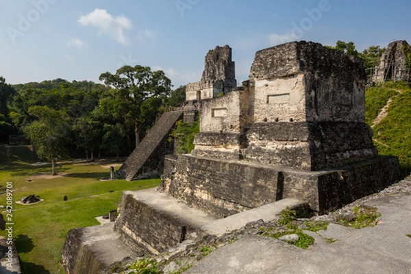 Fototapeta Tikal