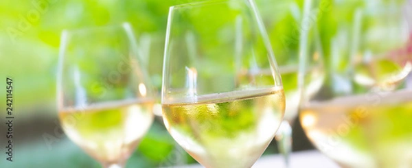 Fototapeta Weisswein Glas